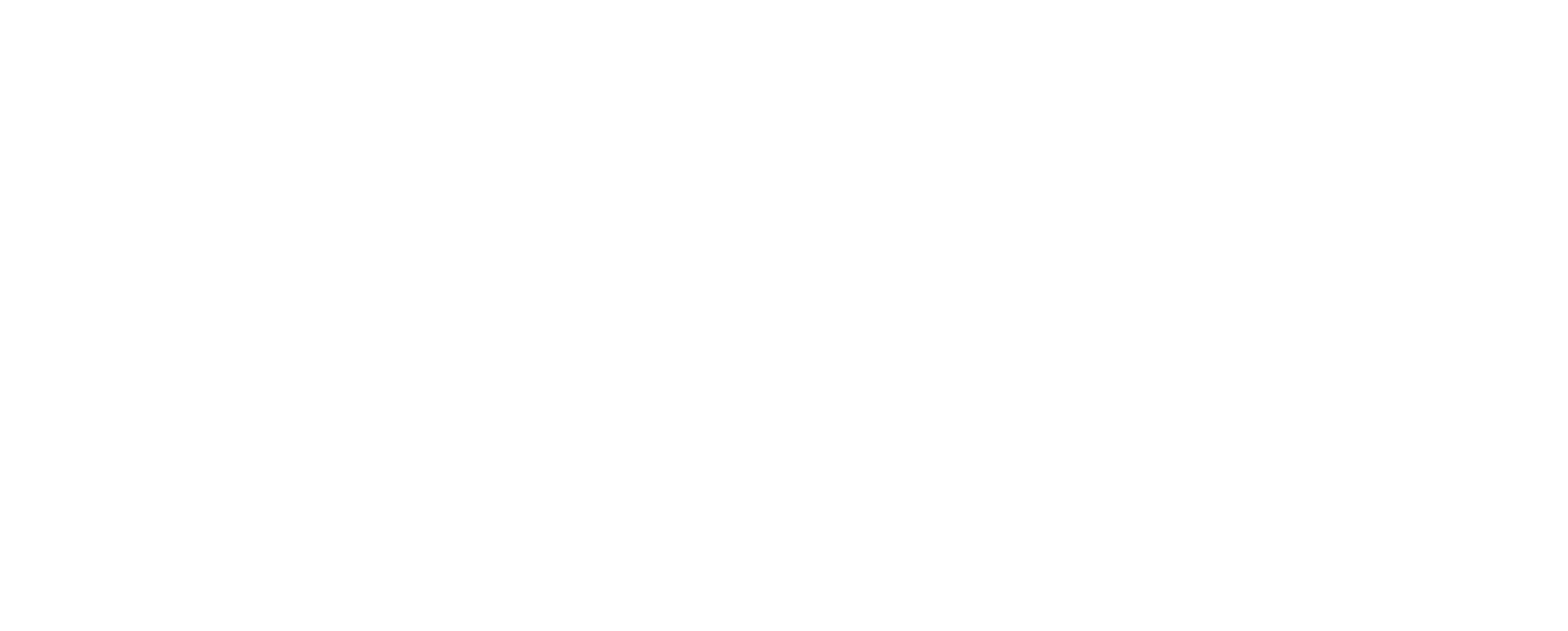 Primary Travel Logo